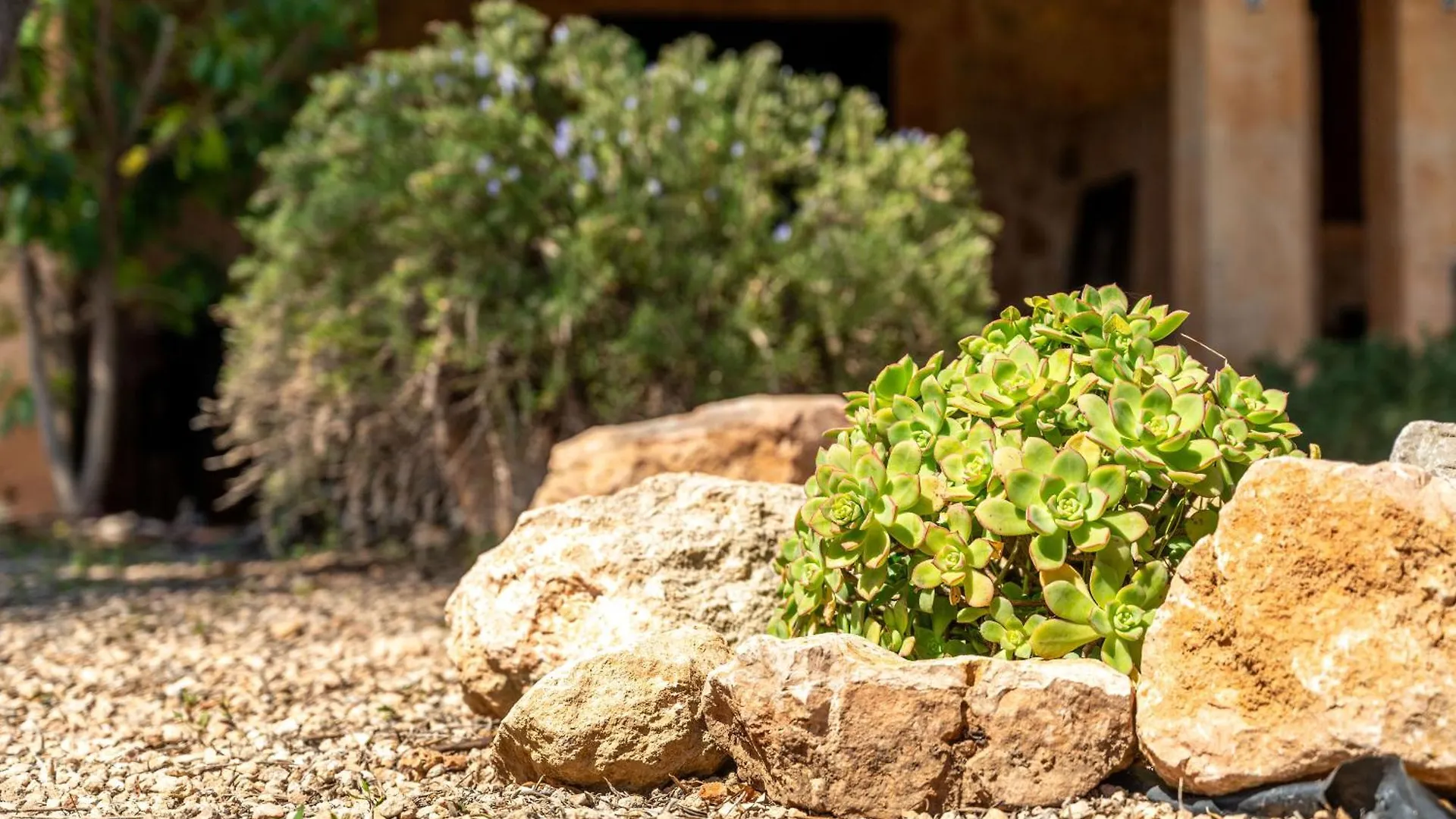 Agroturismo Son Sampoli By Mhr Llucmajor  Llucmajor (Mallorca)